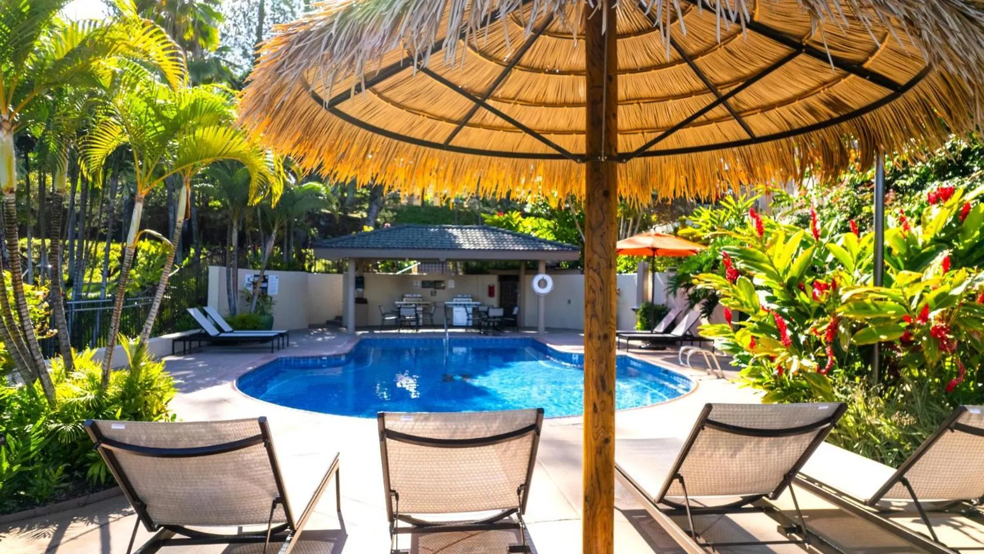 Kbm Resorts Free Car Kapalua Golf Villa Ocean View 2-Bedroom Condo Recently Remodeled Kgv-21P2 0*,
